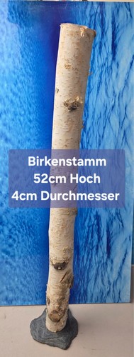 Aquarium scaping holz - aquarium,
