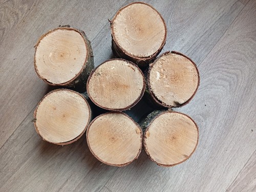 Kleine birkenstamm 10 cm - birkenstamm,