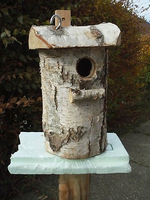 Nistkasten birke massiv - nistkasten,