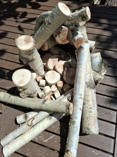 Holz birke lot für - birke,