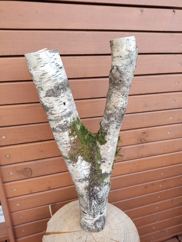 Birken baumstamm skulptur - birken, baumstamm-skulptur