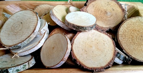 100 birkenscheiben rund 3 - -,