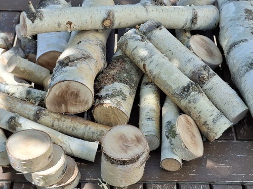 Holz birke lot - lot, deko