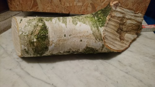 Deko holz birke stamm - holz,