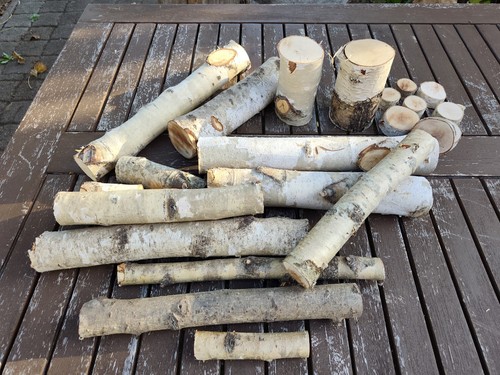 Holz birke lot - birke, deko