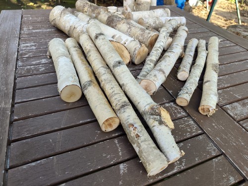 Holz birke lot für - holz, deko