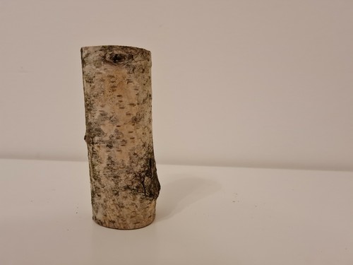 Birkenstamm ø 4 - 4,