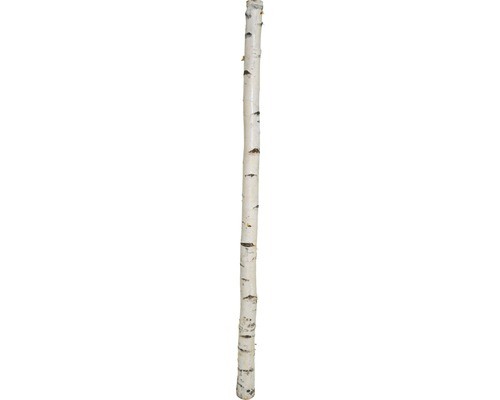 Birkenstamm 180 cm - birkenstamm,