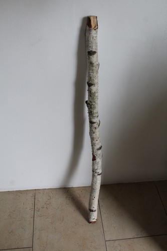 Birkenast 83 cm - birkenast,