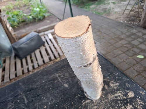 Deko holz birke ast basteln - deko,